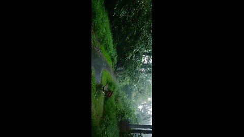 Walking in the Rain