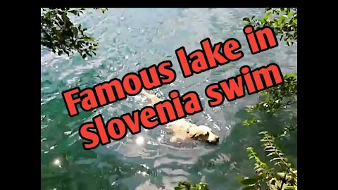 Famous lake in Slovenia swim