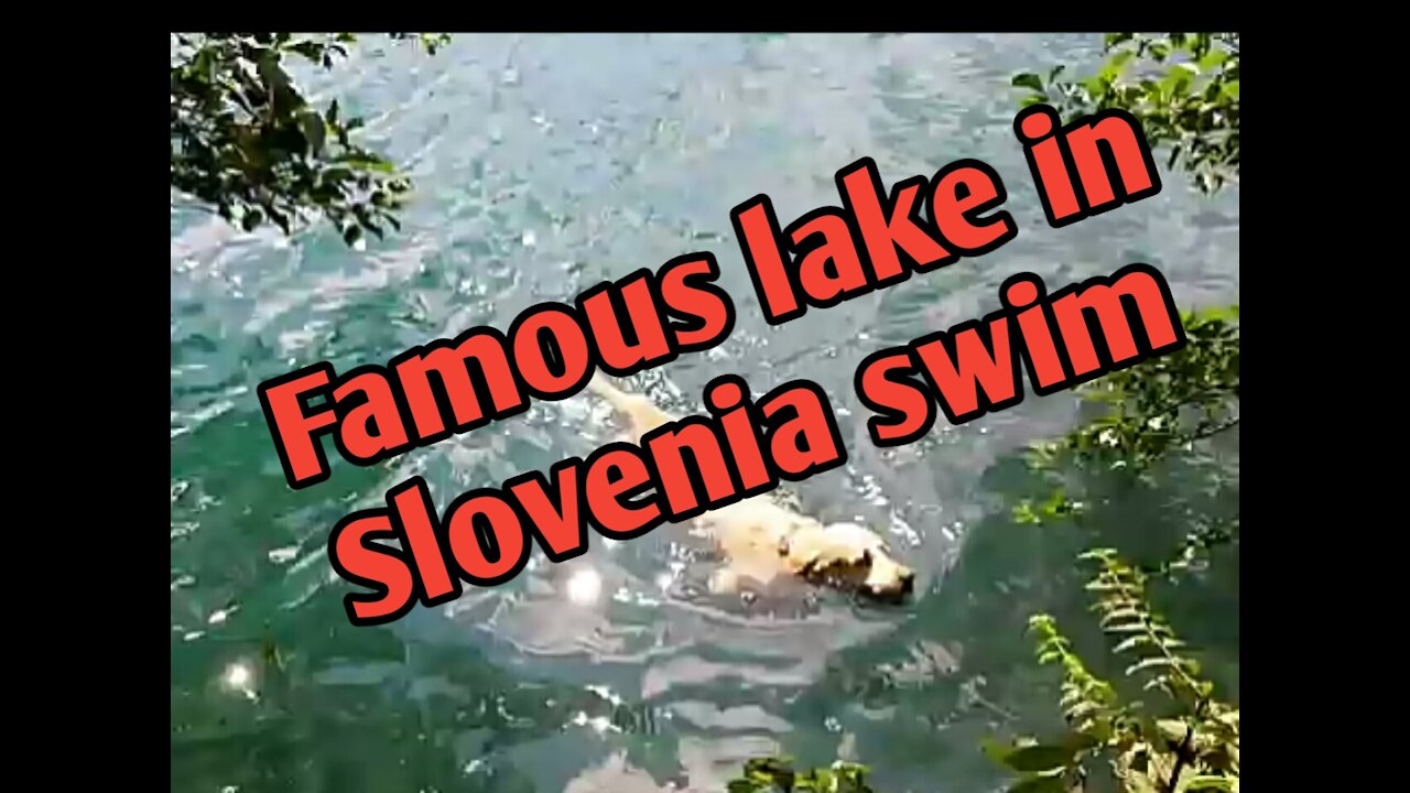 Famous lake in Slovenia swim