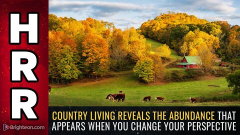 Country living reveals the ABUNDANCE that appears when you change your perspective