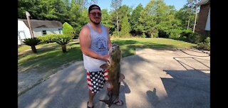 35lbs flathead catfish