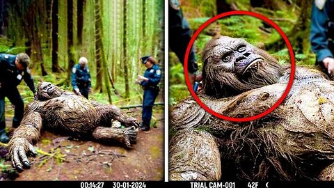 Recent And Convincing Bigfoot Sightings CAUGHT on Tape