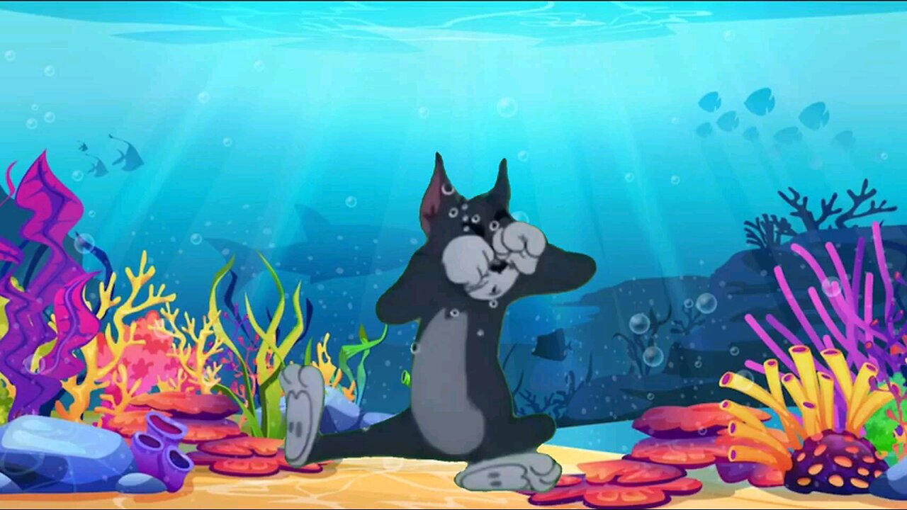 dolphin Tom and Jerry