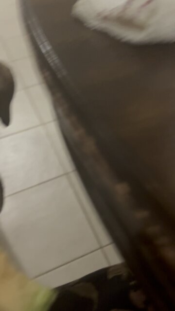 What Is Up With The Fruit