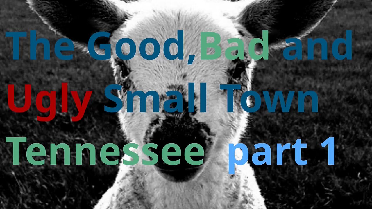 The Good ,Bad & Ugly truth of small town Tennessee. Part 1 the bad,