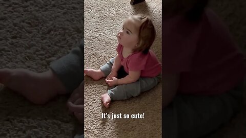 When you discover the TV 🤣