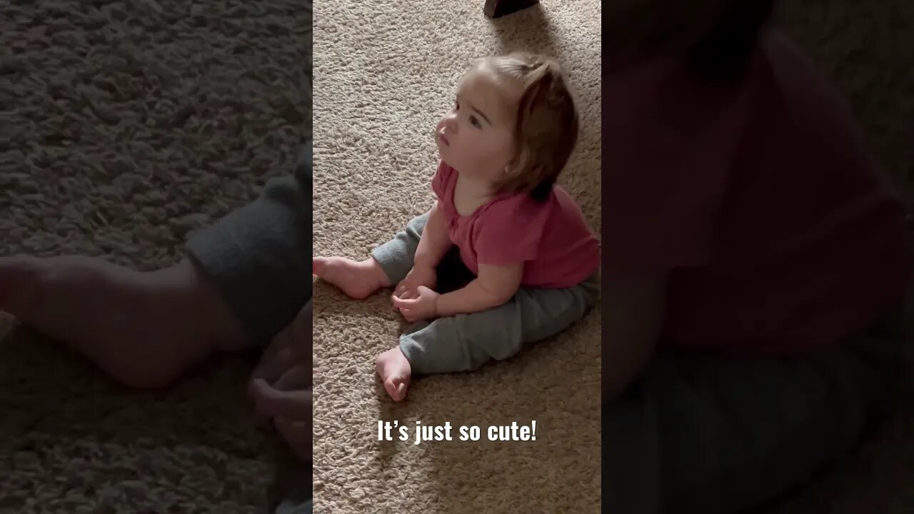When you discover the TV 🤣