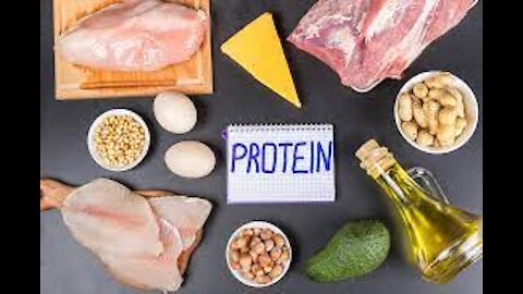 Protein- Body building blocks