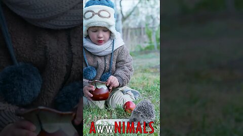 🤗 #AwwNIMALS - Hedgehog's Delight: A Little Boy's Compassion in a Milk-filled Deed 💕