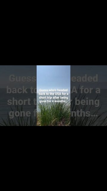 Headed Back to the USA #reversecultureshock #movetomexico #yesillbeinvegas