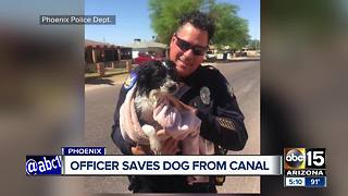 Phoenix police officer saves dog from canal