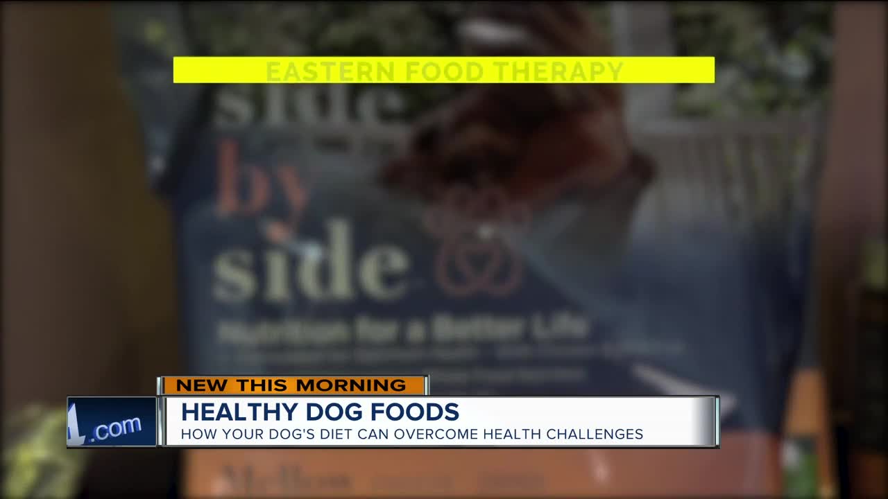 Healthy foods for your dog