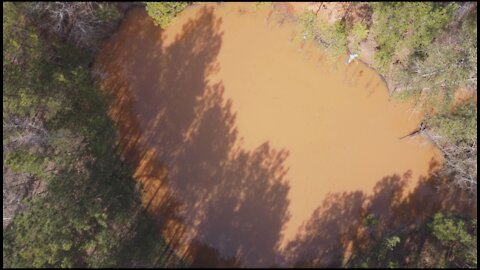 Cannon Farm - Muddy Pond Cleanup Research