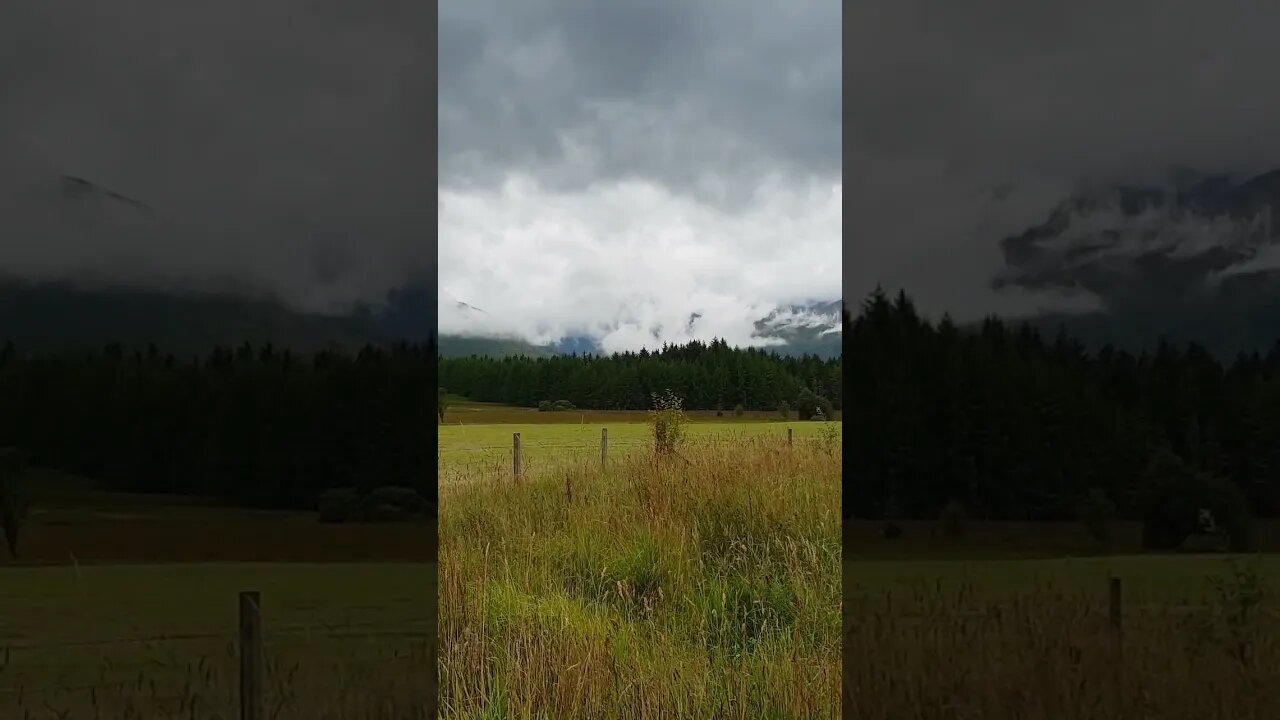 I am alone in my room