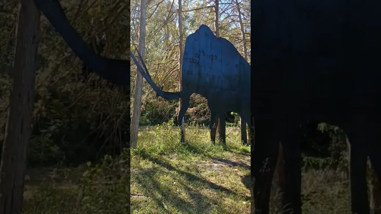 Man Narrowly Escapes Mammoth Attack