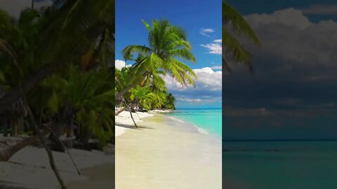 This place CAN'T be real 😮#shorts #short #trending