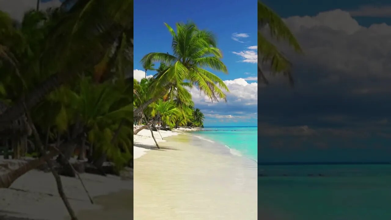 This place CAN'T be real 😮#shorts #short #trending