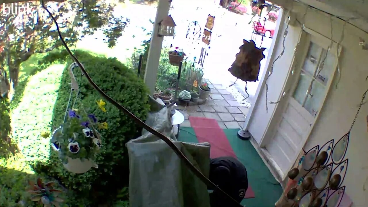 2_WEST_FLOODLIGHT_VIDEO_CAM_2023-04-26T11_39_58-0400.mp4