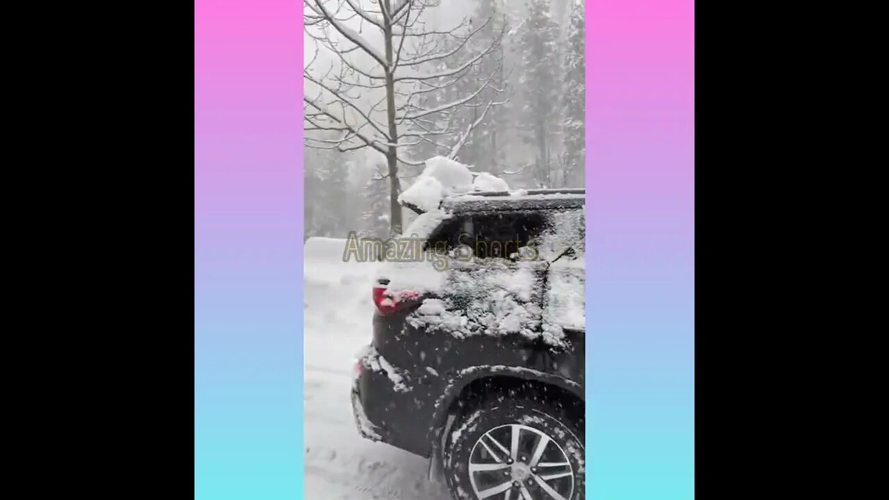 Amazing Snow... #short #shorts #shortvideo