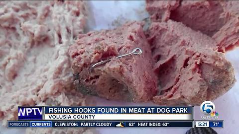 Fish hooks found in meat left at Florida dog park