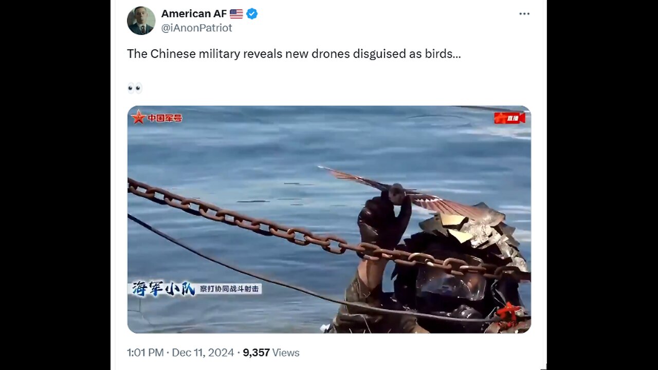 American AF - The Chinese military reveals new drones disguised as birds… 👀