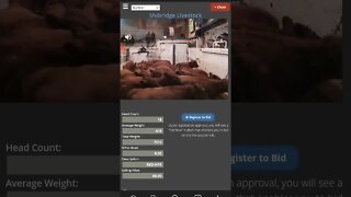 "Where's The Beef" - BEEF It's What's For Dinner #shorts