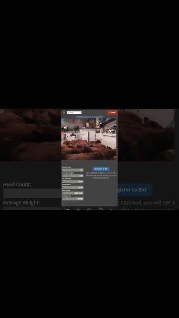 "Where's The Beef" - BEEF It's What's For Dinner #shorts