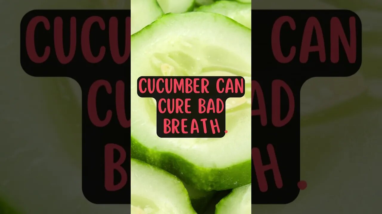 🥒Interesting Facts! 👀 #shorts #shortsfact #facts #generalfact #interestingfacts #cucumber #badbreath