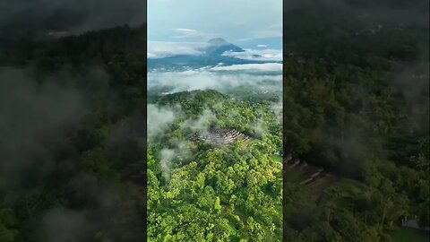 Love nature #viralreelsstatus #youtubereelsvideoshort #foryourpage #fypシ゚viral #youtubereel #fyp