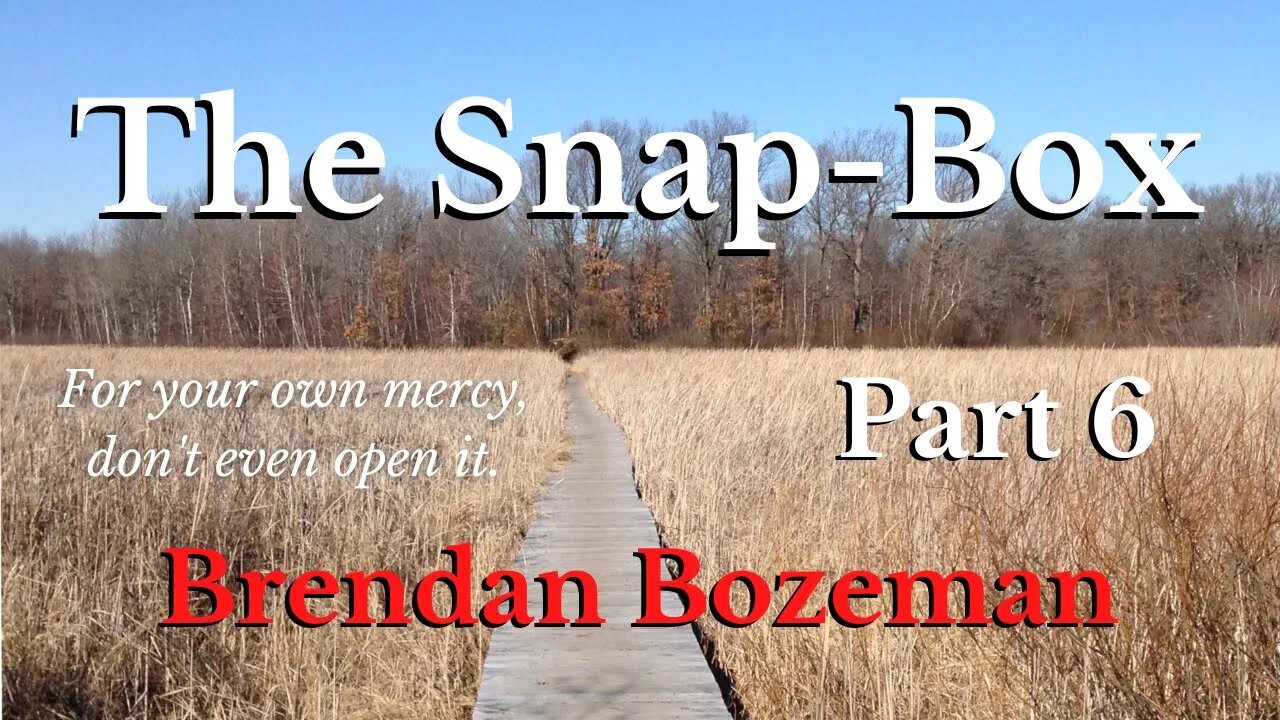 The Snap-Box, Part 6, by Brendan Bozeman (6/7)