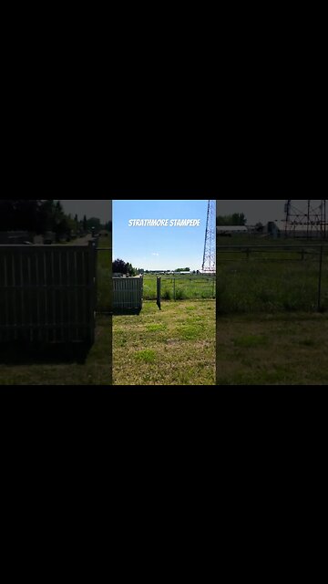 Strathmore Stampede: The Build Up