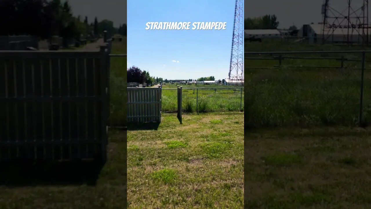 Strathmore Stampede: The Build Up