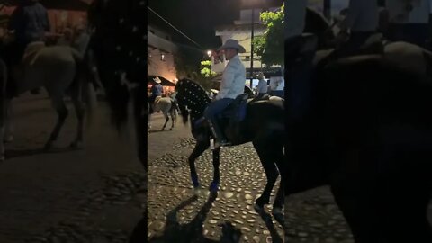 The horses dance in Mexico!! 🇲🇽🇲🇽🇲🇽🇲🇽🐴🐎