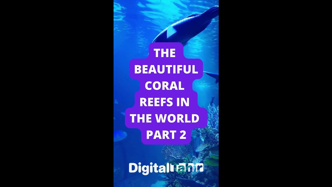 Part 2: The Beautiful Coral Reefs in the World