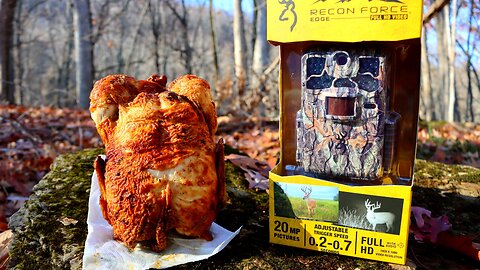 Trail Camera: What Happens to Rotisserie Chicken in the Middle of the Woods?