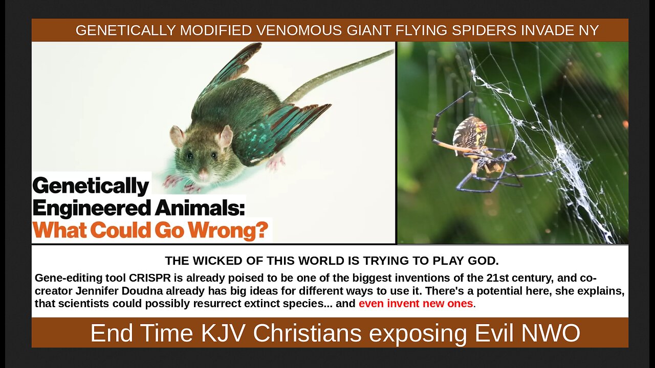 GENETICALLY MODIFIED VENOMOUS GIANT FLYING SPIDERS INVADE NY