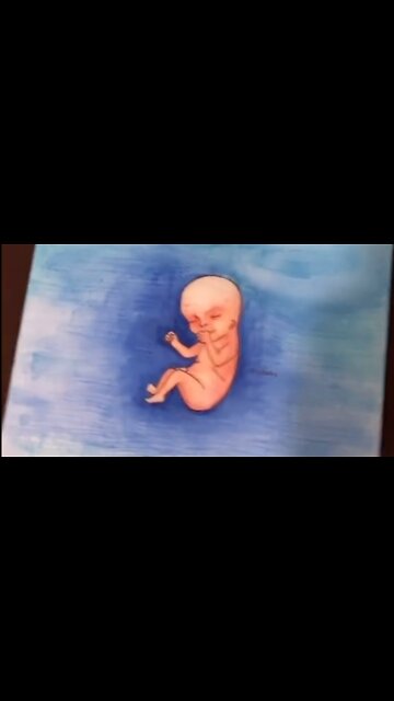 Human life begins at the moment of conception.