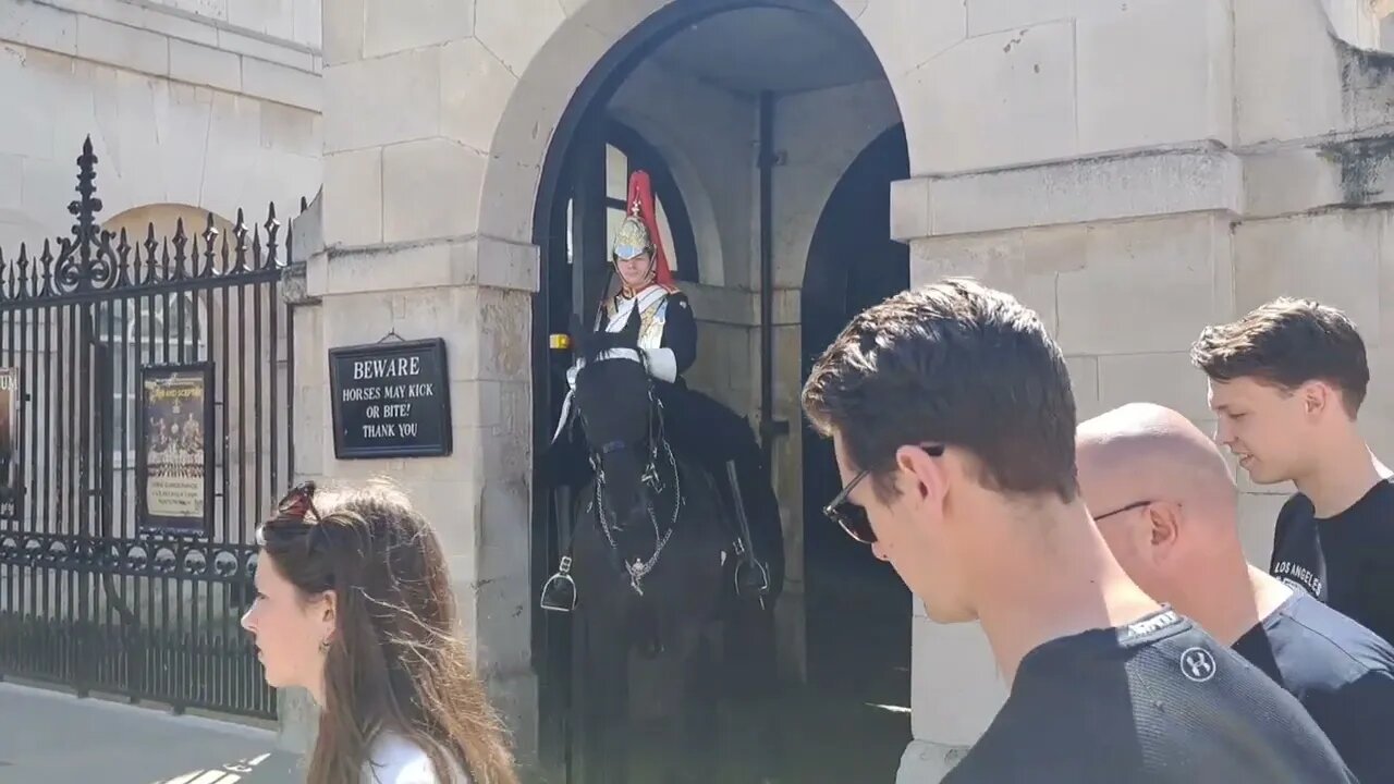 Has no idea here is a horse around the corner #horseguardsparade