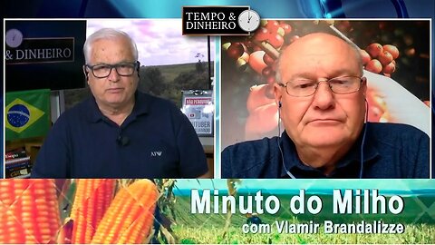 Milho mantendo cotações internas