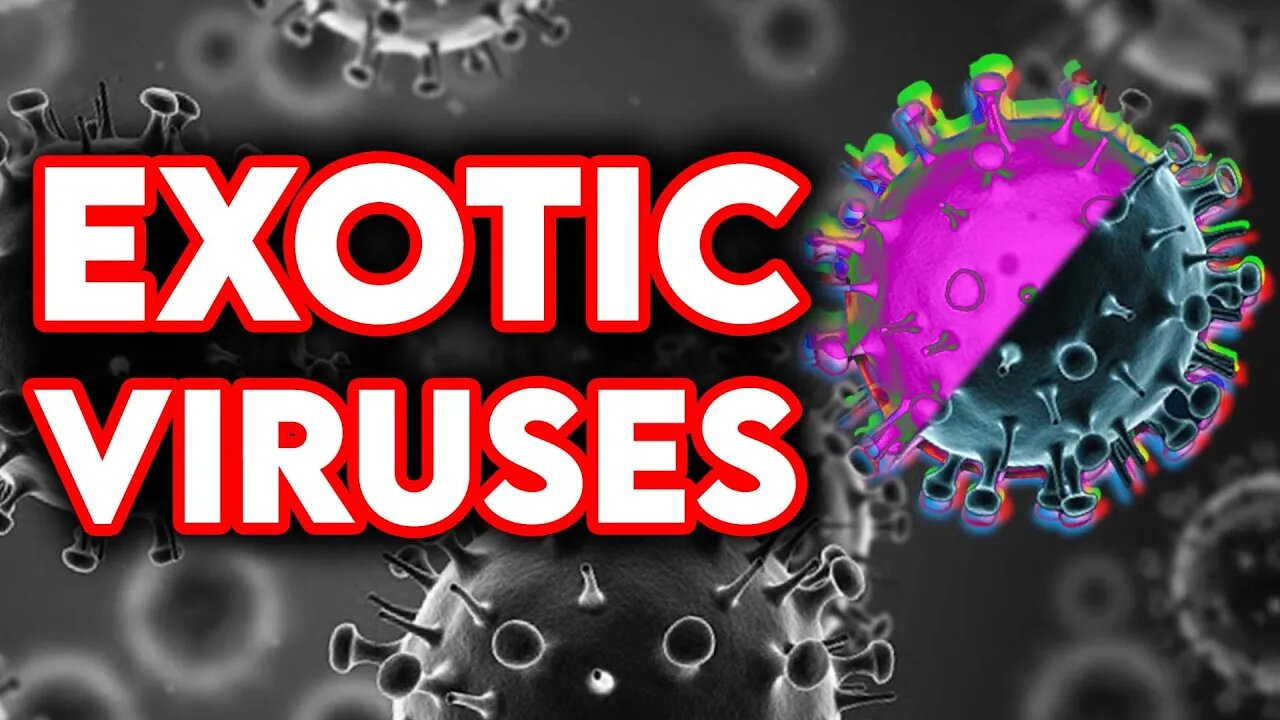 Exotic Viruses Explained by Dr. Nikolai Petrovsky (Podcast Clip)