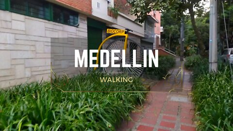 Medellin Walkings