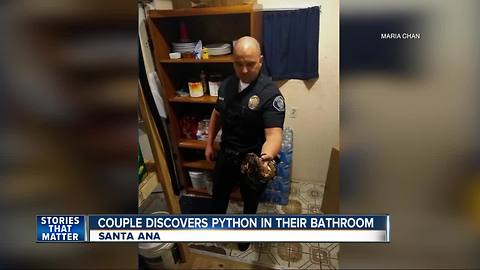 Orange County couple finds python in bathroom