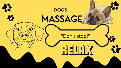 Dogs Reactions To Massage says "Don't stop!"