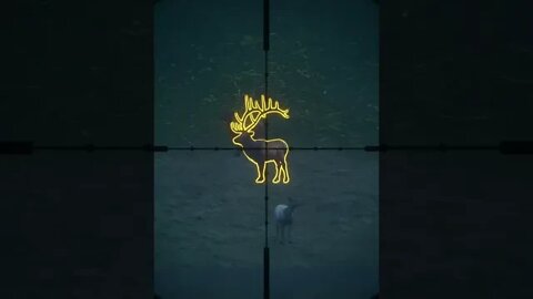 Rocky Mountain Elk 💎 Diamond - theHunter: Call of the Wild Diamond #shorts