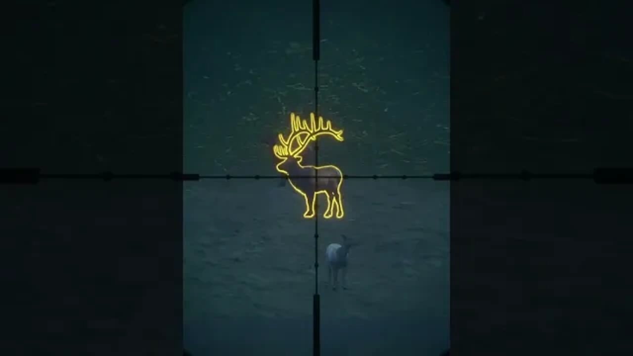 Rocky Mountain Elk 💎 Diamond - theHunter: Call of the Wild Diamond #shorts