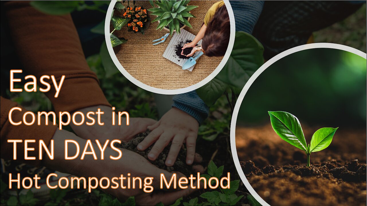 From Grass Clippings to Commpost in 10 Days - Simple Hot Composting Method that Works!