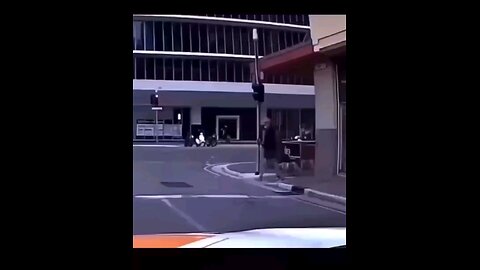 funny videos
