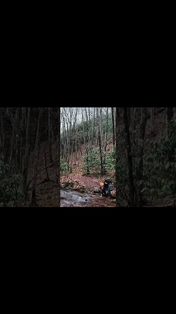 #bikelife #ebike #bushcraftcamp #electricbicycle #camping #wilderness #electricbikereview #bike