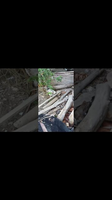 Good morning Rhiannon Rusty and P2