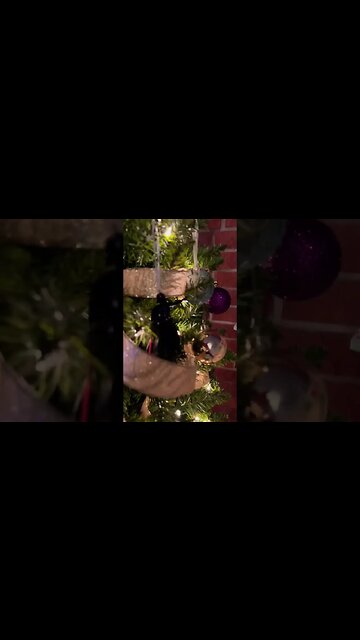 Darth Vader Christmas Tree ornament #christmas2022